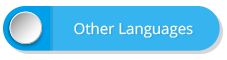 Button with text "OTHER LANGUAGES"